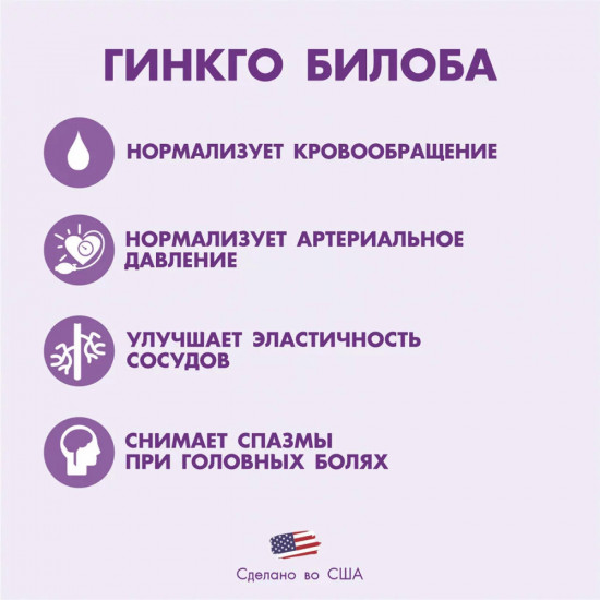 Капсулы «Гинкго Билоба №100»