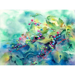 Краски акварельные - Фото 6