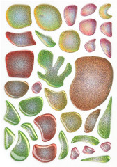 Мозаика гелевая «Капибара» - Фото 3