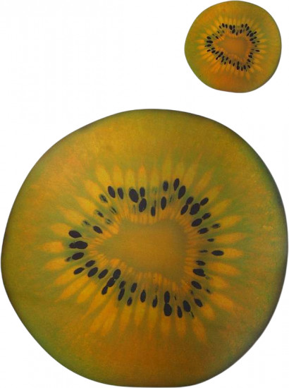 Набор подстановочных матов «Киви»