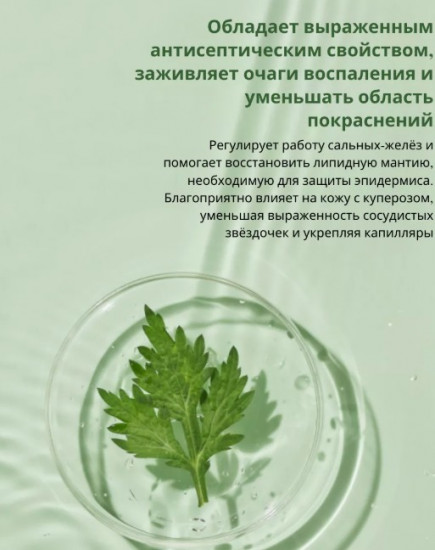 Тонер для лица успокаивающий с полынью «Mugwort Calming Toner»