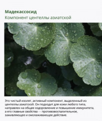 Тонер для лица успокаивающий с полынью «Mugwort Calming Toner» - Фото 3