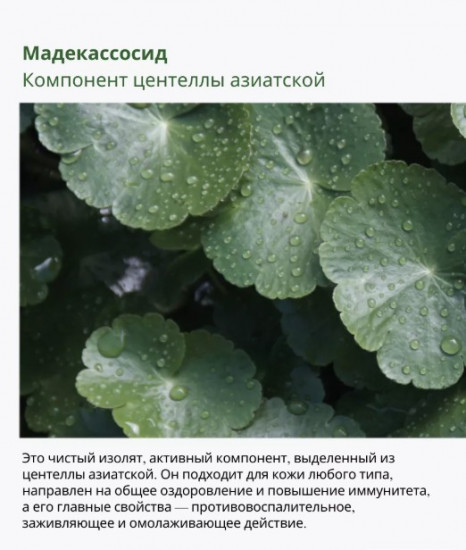Тонер для лица успокаивающий с полынью «Mugwort Calming Toner»