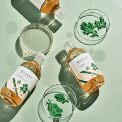 Тонер для лица успокаивающий с полынью «Mugwort Calming Toner» - Фото 7