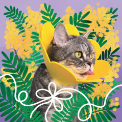 Календарь настенный на 2026 год «Бэнни-шоу» - Фото 2