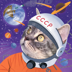 Календарь настенный на 2026 год «Бэнни-шоу» - Фото 4