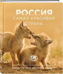 Россия самая красивая страна. Фотоконкурс 2025 - Фото 2