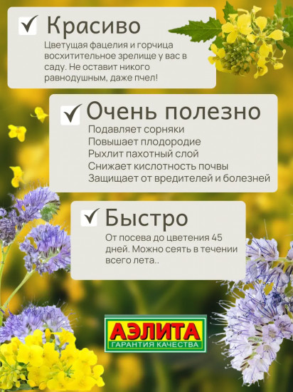 Семена смеси сидератов «Горчица и Фацелия»