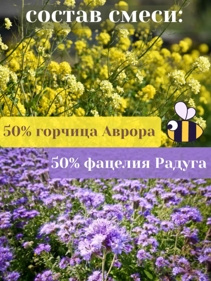 Семена смеси сидератов «Горчица и Фацелия»