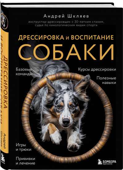 Дрессировка и воспитание собаки