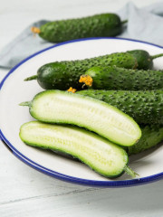 Семена огурца «Кураж F1» - Фото 6