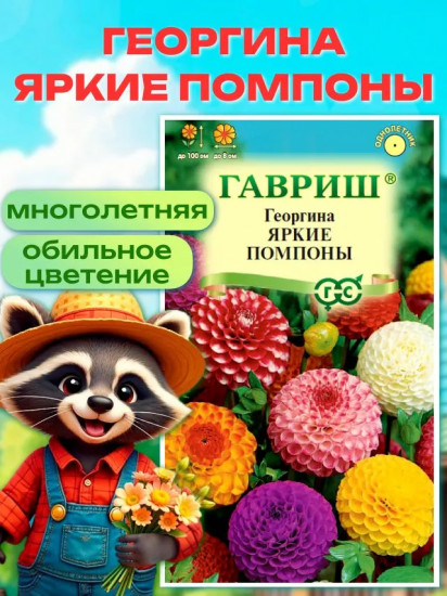 Семена георгины «Яркие помпоны»