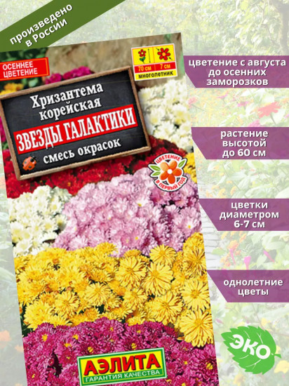 Семена хризантемы «Звезды галактики»