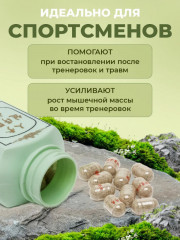 Капсулы для набора веса «Ginseng Kianpi Pil» - Фото 3