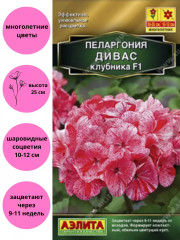 Семена пеларгонии «Дивас F1 клубника» - Фото 1