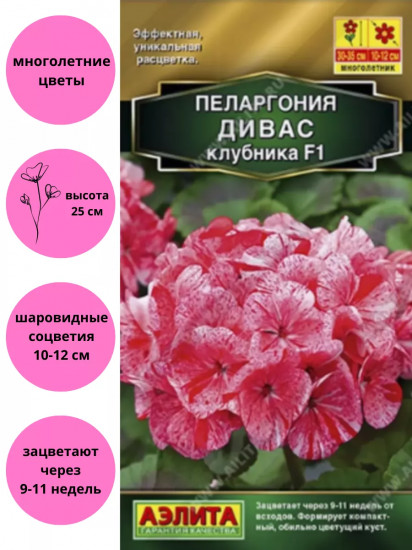 Семена пеларгонии «Дивас F1 клубника»