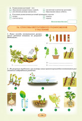 Биология. Учебно-тренировочные задания формативного оценивания. 7 класс. 2 части. Комплект из 2 книг - Фото 6
