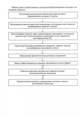 Спектральная фототерапия - Фото 8