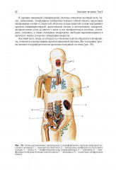 Анатомия человека. Том 2 - Фото 6