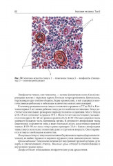 Анатомия человека. Том 2 - Фото 10