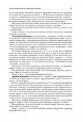 Анатомия человека. Том 2 - Фото 13