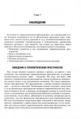 Психопатологическая пропедевтика - Фото 3