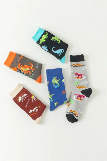 Комплект носков «Dino»