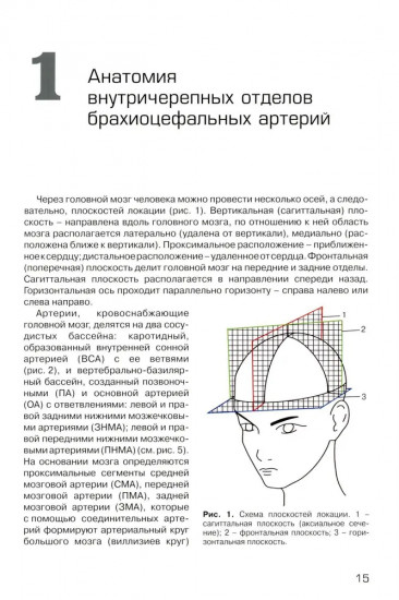 Дуплексное сканирование внутричерепных отделов брахиоцефальных артерий и вен. Учебное пособие