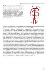 Дуплексное сканирование внутричерепных отделов брахиоцефальных артерий и вен. Учебное пособие - Фото 7