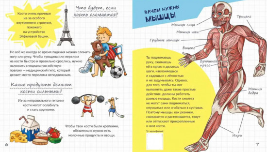 Тайны твоего тела. Энциклопедия для детей. 125 интересных фактов