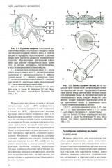 Регионарная анестезия: Самое необходимое в анестезиологии - Фото 4