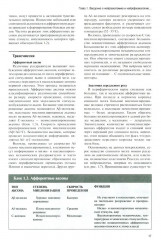 Регионарная анестезия: Самое необходимое в анестезиологии - Фото 7