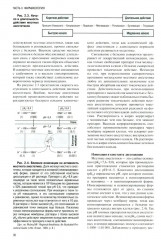 Регионарная анестезия: Самое необходимое в анестезиологии - Фото 12