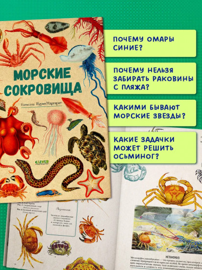 Морские сокровища