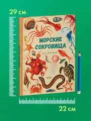 Морские сокровища - Фото 4