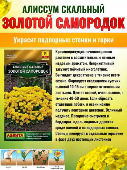 Семена алиссума «Золотой самородок»
