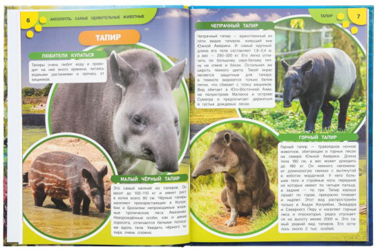 Энциклопедия для детей «Аксолотль. Самые удивительные животные»