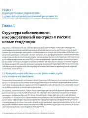 Российские корпорации на пути к антихрупкости. Финансовая архитектура компаний - Фото 10