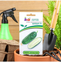 Семена огурца «Шоша F1» - Фото 1