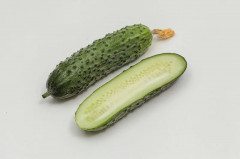 Семена огурца «Шоша F1» - Фото 3