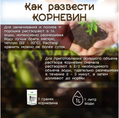 Стимулятор корнеобразования «Корневин» - Фото 4