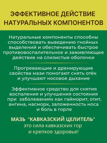 Мазь монастырская «От гайморита»