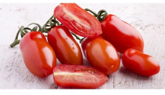 Семена томата «Дамский угодник» - Фото 3