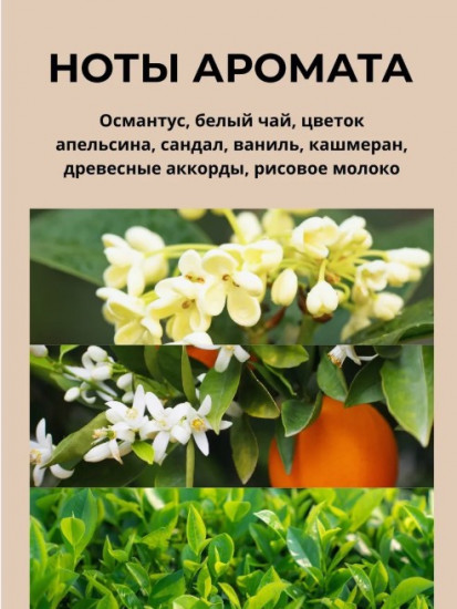 Диффузор для дома «Intrigue»