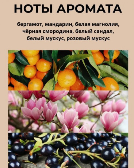 Диффузор для дома «Musk»