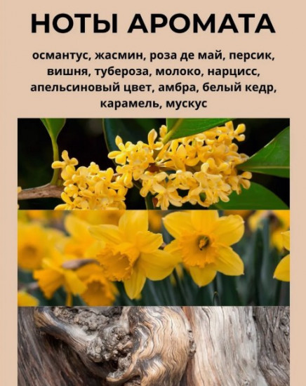 Диффузор для дома «Good Girl»