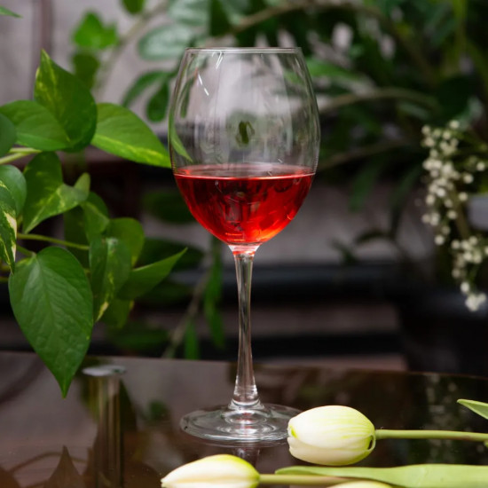 Бокал для вина «Enoteca»