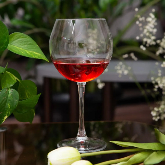 Бокал для вина «Enoteca»