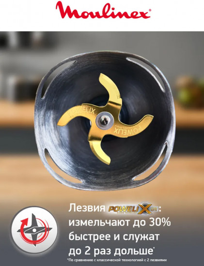 Блендер погружной Moulinex InfinyForce Pro DD95MD10