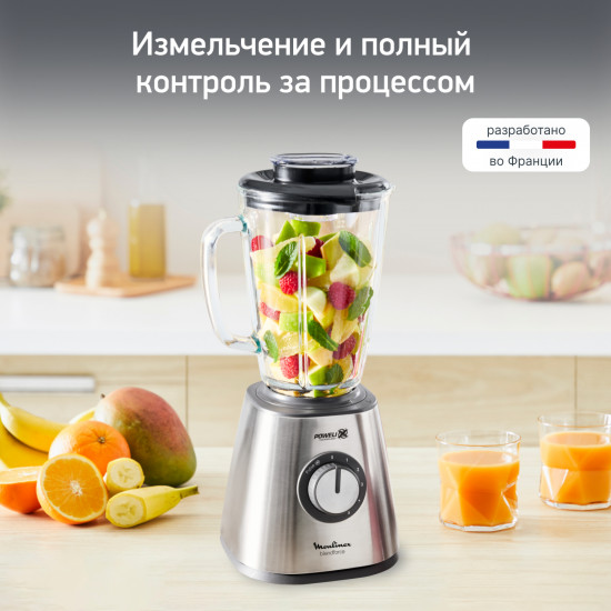 Стационарный блендер Moulinex LM439D10